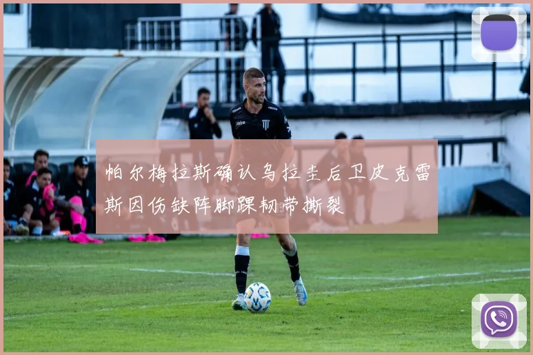 帕尔梅拉斯确认乌拉圭后卫皮克雷斯因伤缺阵脚踝韧带撕裂